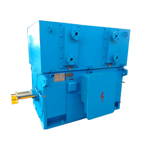 How do squirrel cage induction motors work