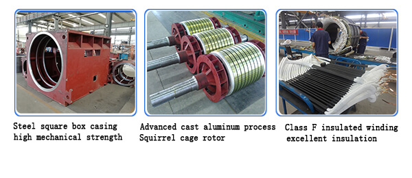 Y Large High Voltage Water Pump, Fan Squirrel Cage Motor