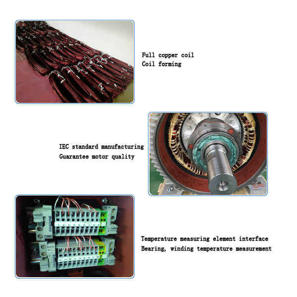 Induction Motor