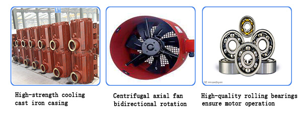 High Voltage Induction Motor