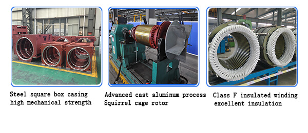 High Voltage Motor for Sale