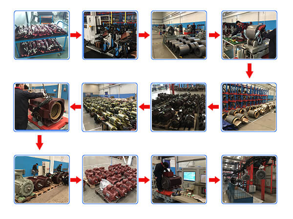 High Voltage Induction Motor