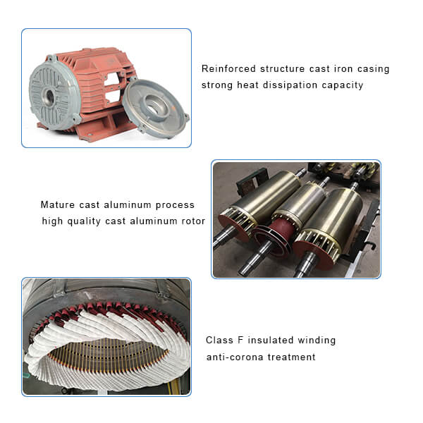 High Voltage Induction Motor