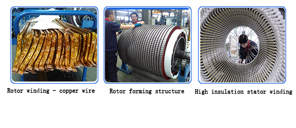 High Voltage Wound Rotor Induction Motor