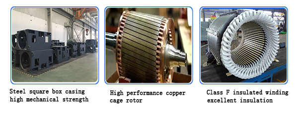 YTM/YHP/YMPS high-voltage asynchronous motor for coal mill