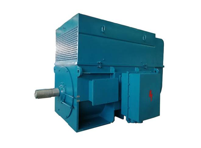 Permanent Magnet Synchronous Motor