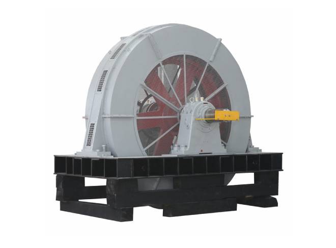 Large Synchronous Motor