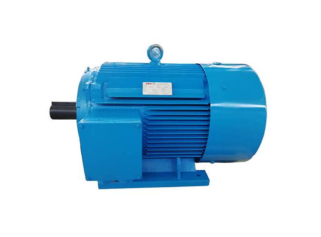 Permanent Magnet Synchronous Motor