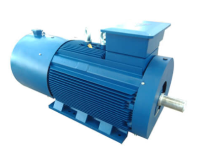 Single-phase induction motor