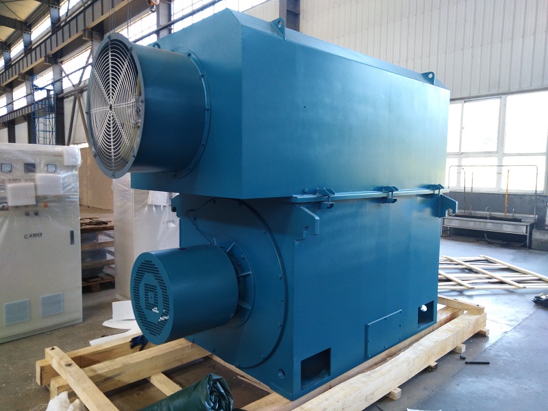 YRKK series high voltage winding type slip ring induction motor exported to North Korea