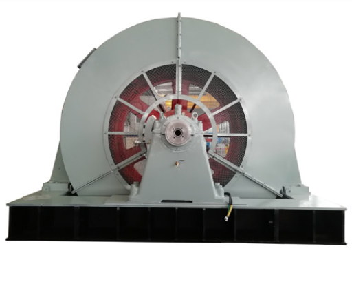 Large Synchronous Motor: