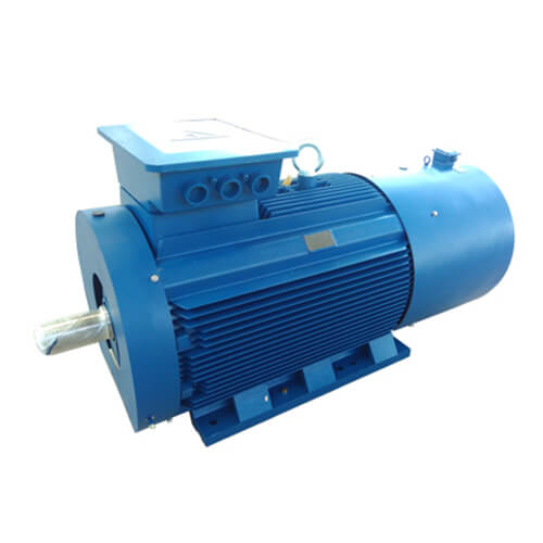  Induction Motor