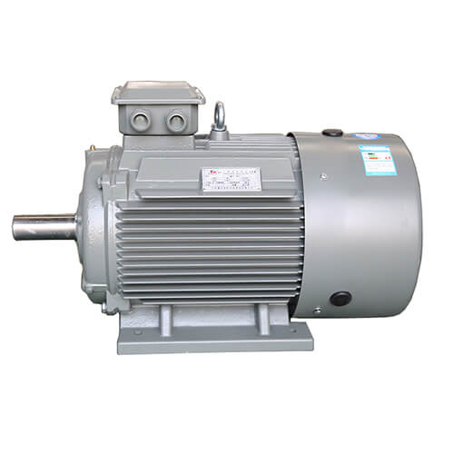 IEC Motor