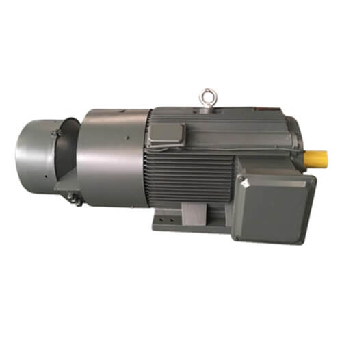 Slip Ring Induction Motor