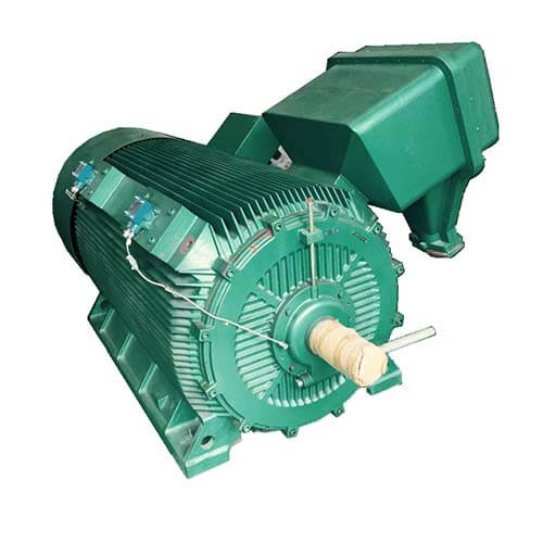 High Voltage Induction Motor