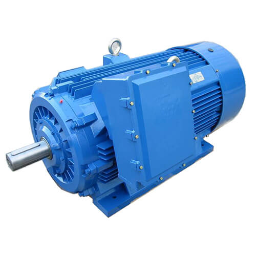 High Voltage Induction Motor