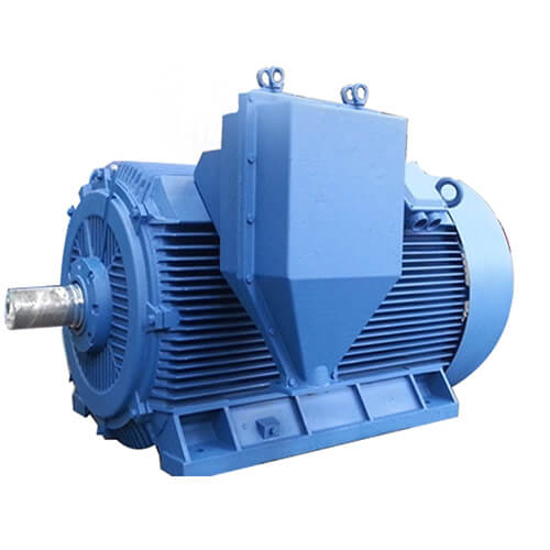 High Voltage Induction Motor