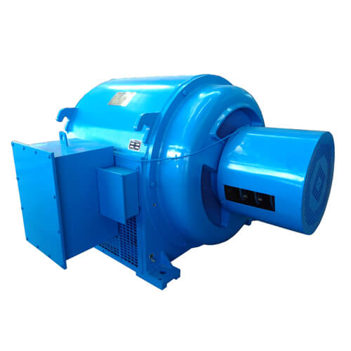 Slip Ring Induction Motor