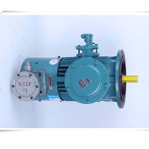 YB2 Explosion-Proof Electric Motor