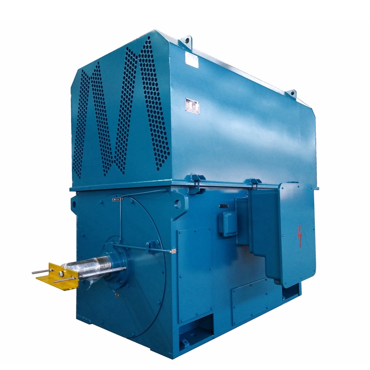 High Voltage Squirrel Cage Induction Motor