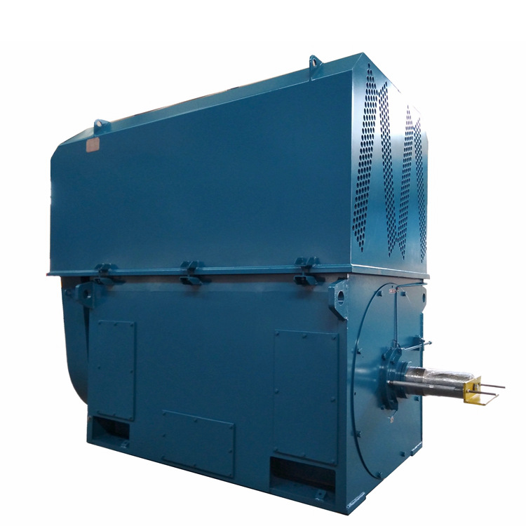 High Voltage Squirrel Cage Induction Motor