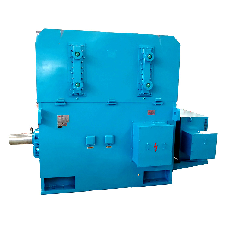 High Voltage Wound Rotor Induction Motor