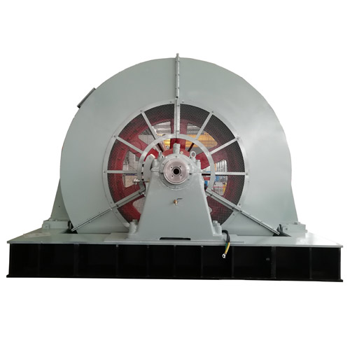 Large Synchronous Excitation Electric Motor