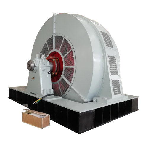 Large Synchronous Excitation Electric Motor