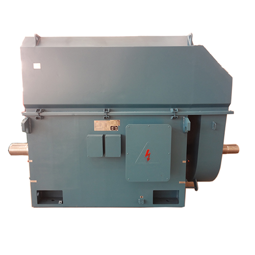 YTM/YHP/YMPS high-voltage asynchronous motor for coal mill