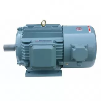 Are squirrel cage motors AC or DC?