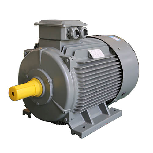 Squirrel cage motor efficiency ratings